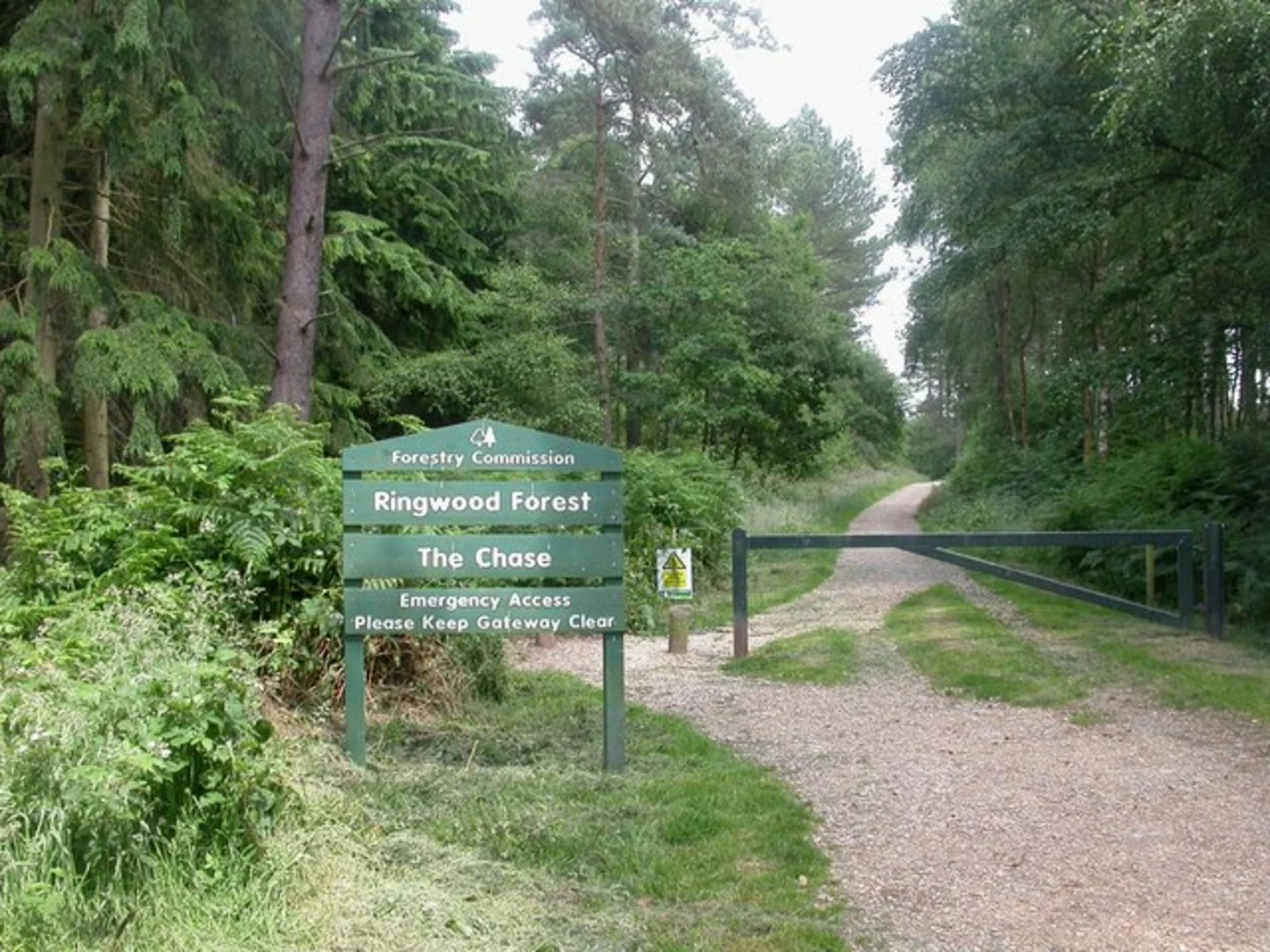 An image depicting the trail The Chase Nature Reserve Loop and its surrounding area.