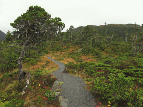 An image depicting the trail Beaver Lake via Herring Cove Loop Trail and its surrounding area.