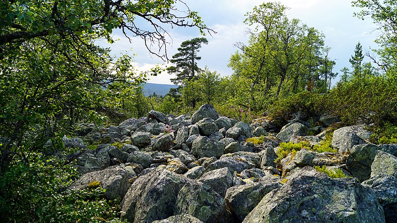An image depicting the trail Töfsingdalen National Park and its surrounding area.