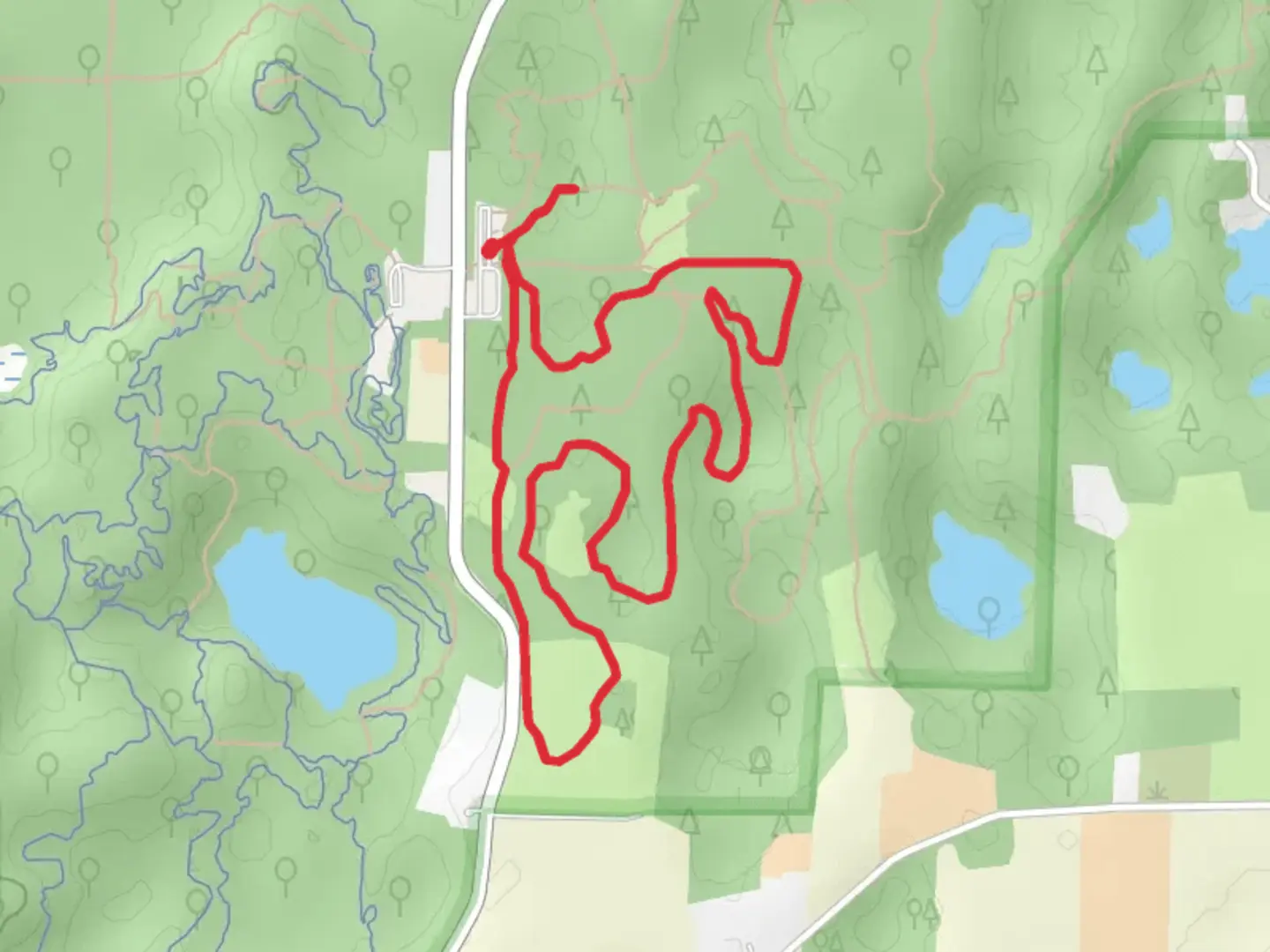 An image depicting the trail Blue Loop and its surrounding area.