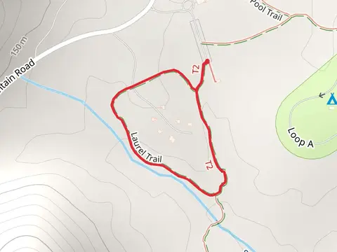 Laurel Loop Trail