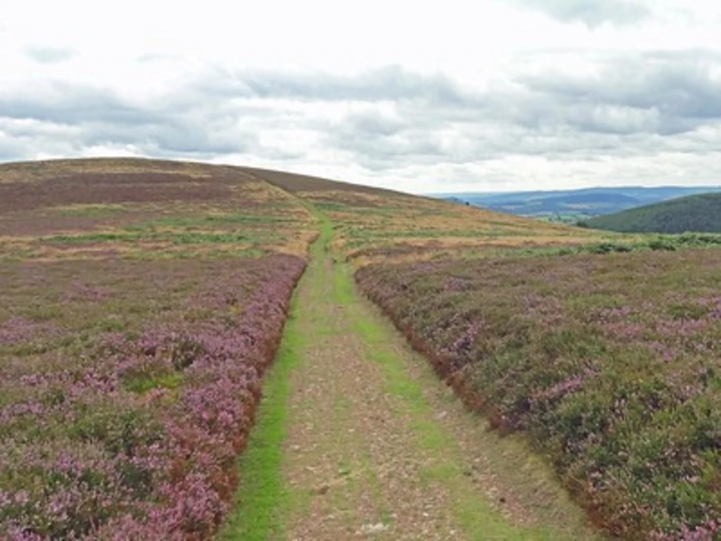 An image depicting the trail LIttle Stretton Western Loop and its surrounding area.