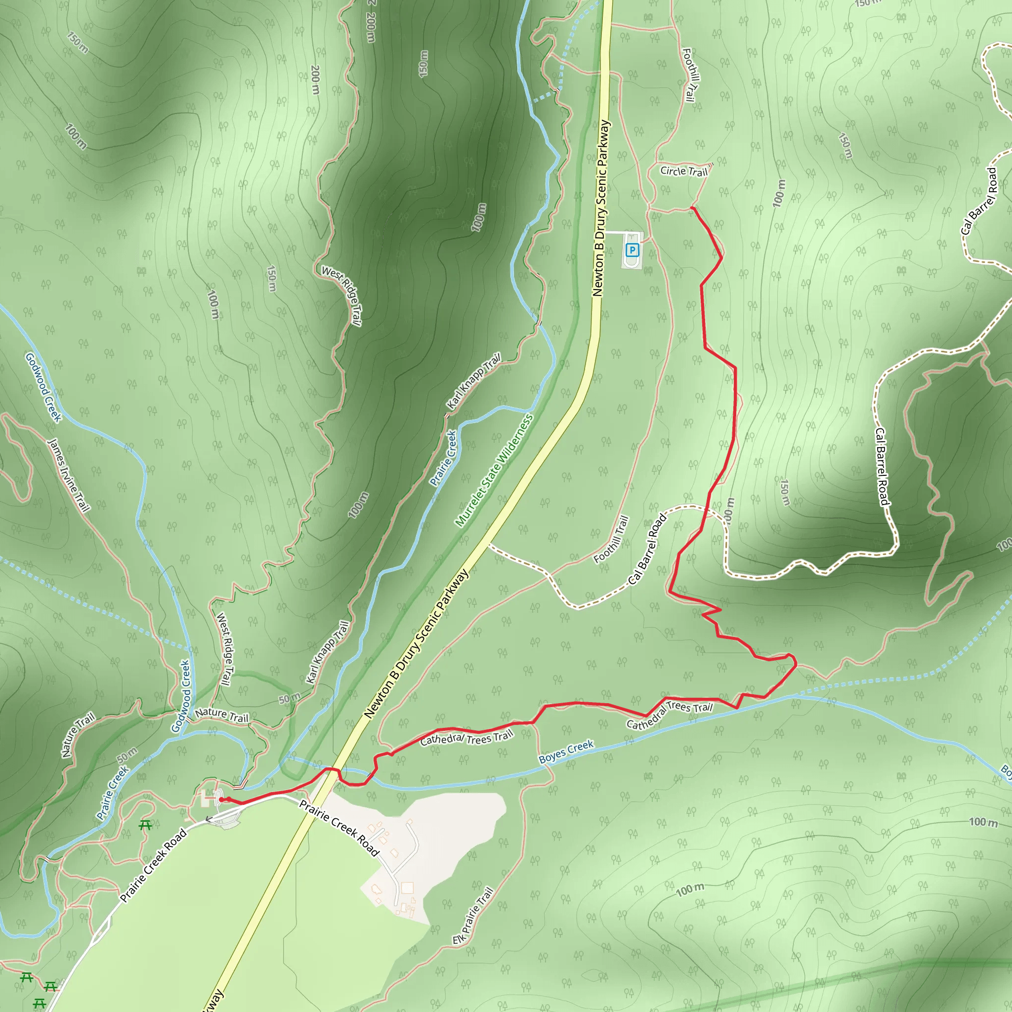 Cathedral Trees Trail mobile static map