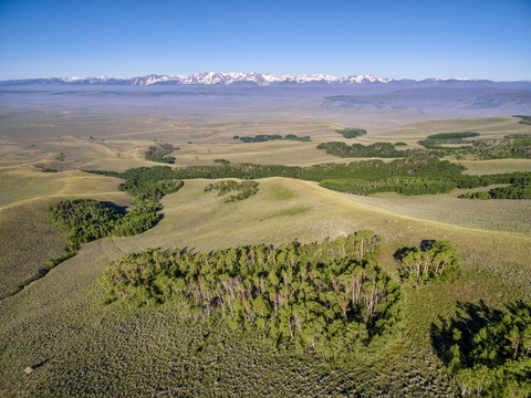 An image depicting the trail Wyoming Trail and its surrounding area.