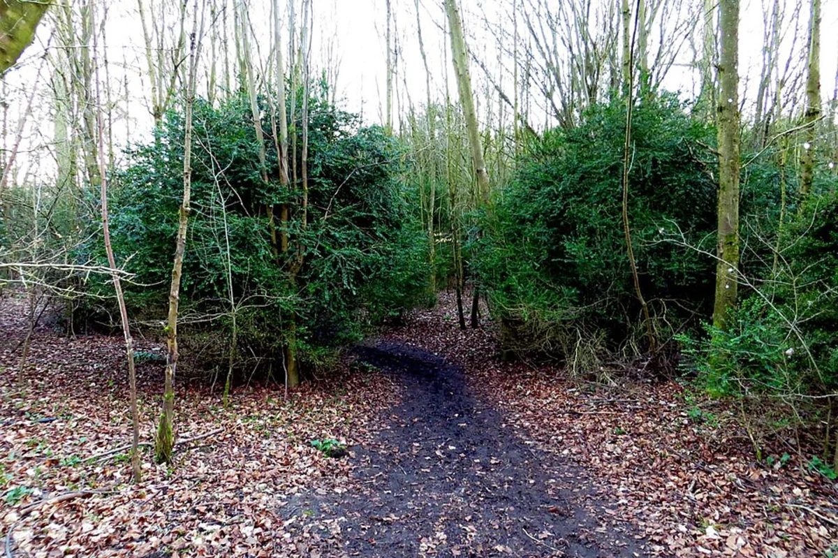 Chinnor Quarry 3 and Beacon Hill Loop