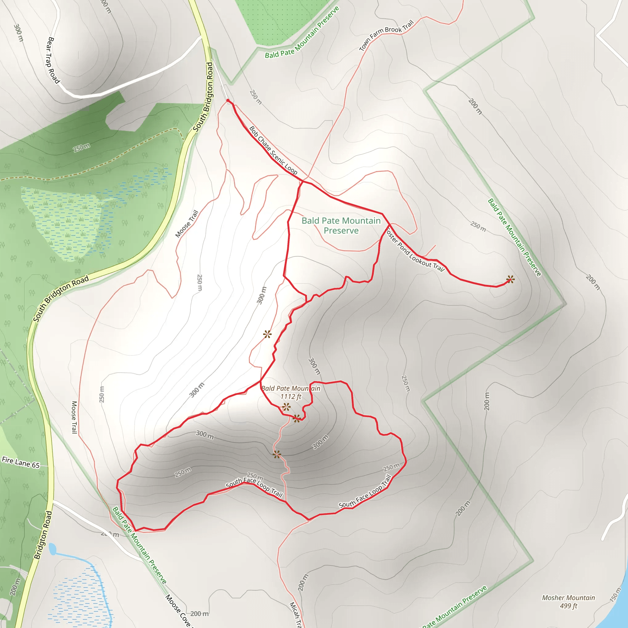 Bald Plate Mountain Hill Loop mobile static map