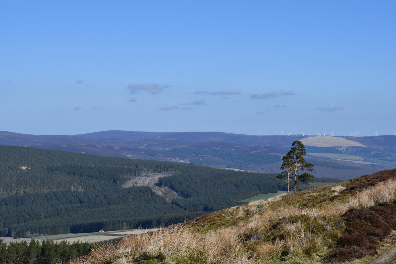 An image depicting the trail Moray Way and its surrounding area.