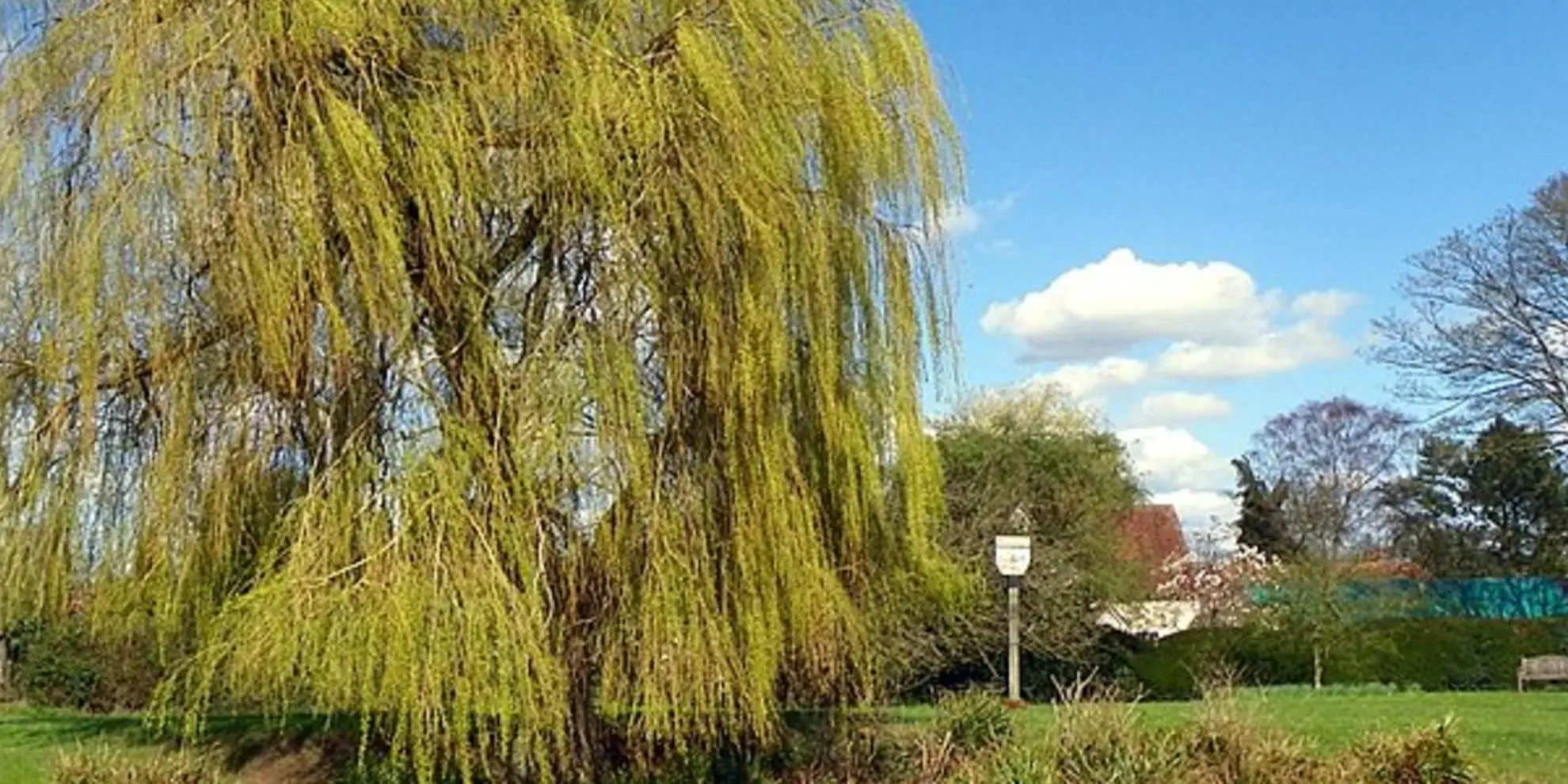 An image depicting the trail Graveley and Warren's Green from Weston and its surrounding area.