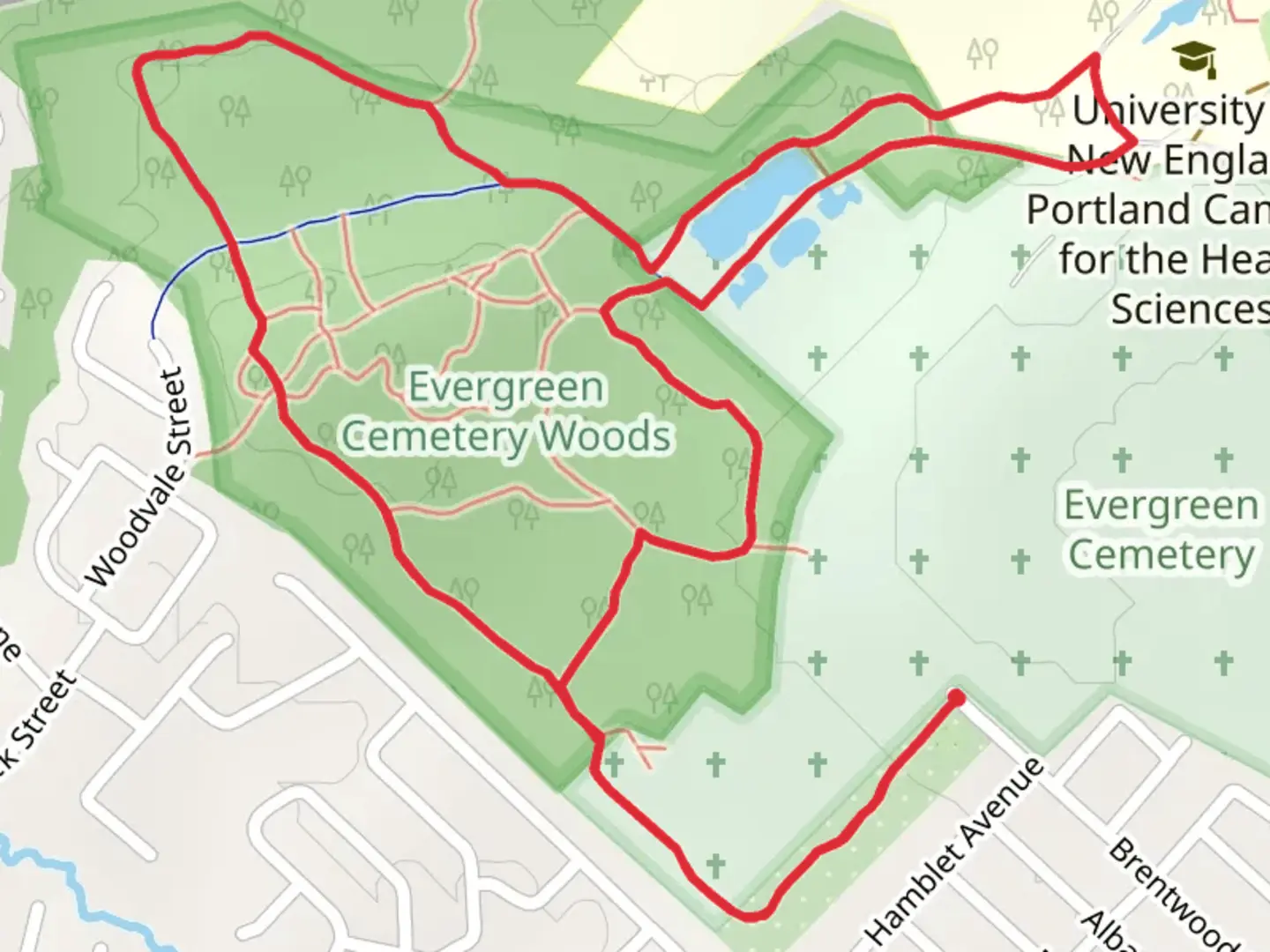 An image depicting the trail Evergreen Woods Hiking Trail and its surrounding area.