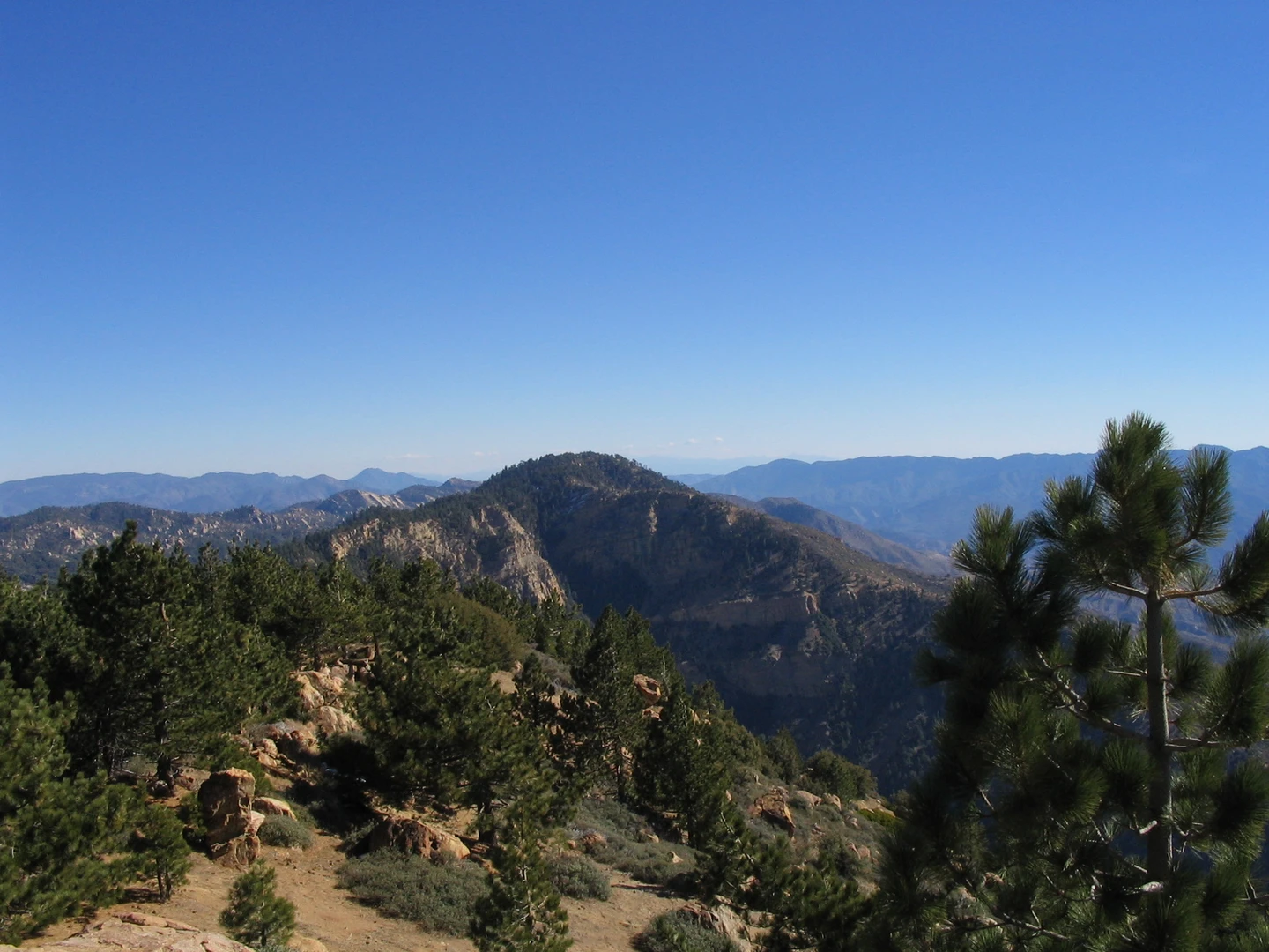 An image depicting the trail Reyes Peak Trail and its surrounding area.