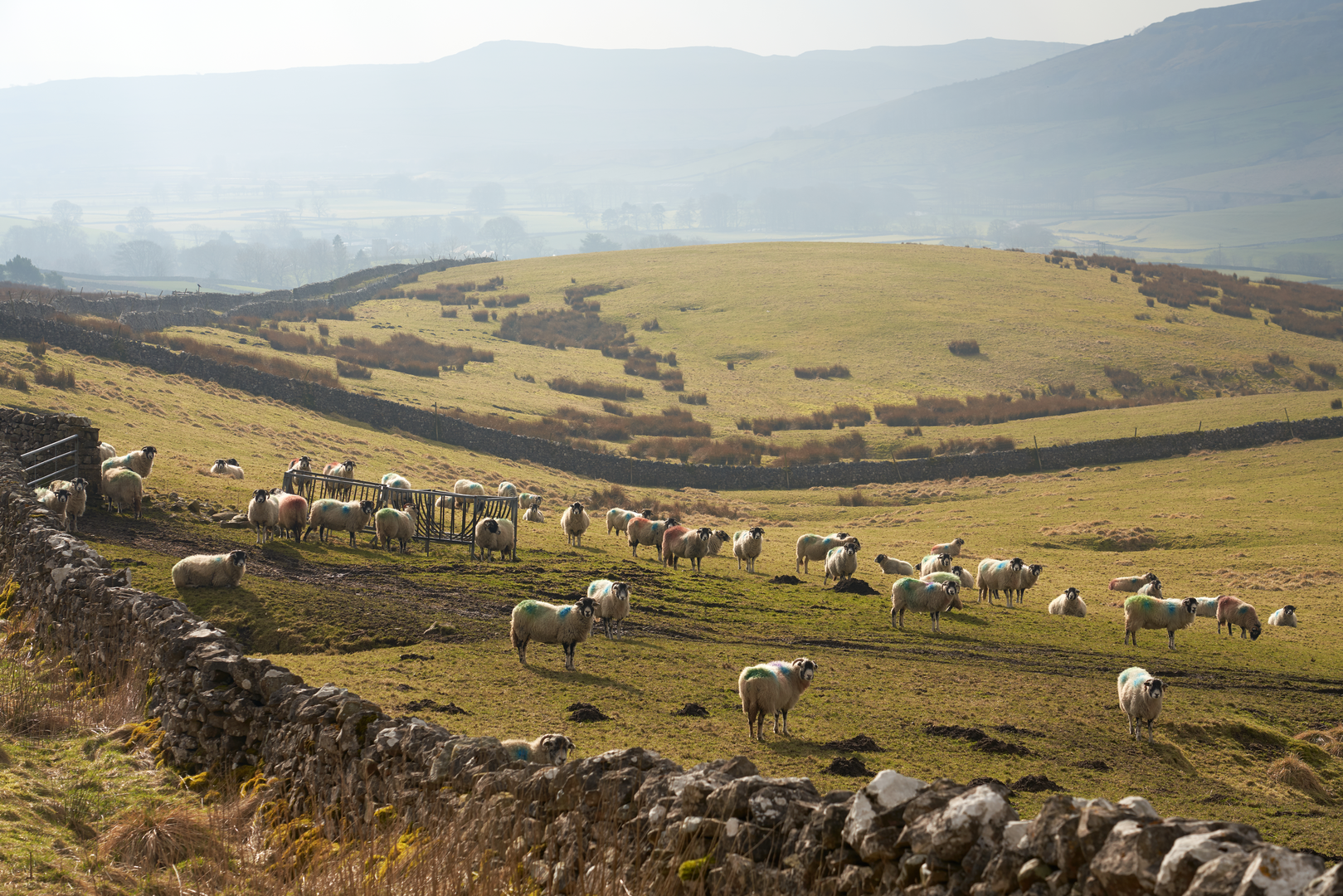 An image depicting the trail Horton to Settle Walk and its surrounding area.