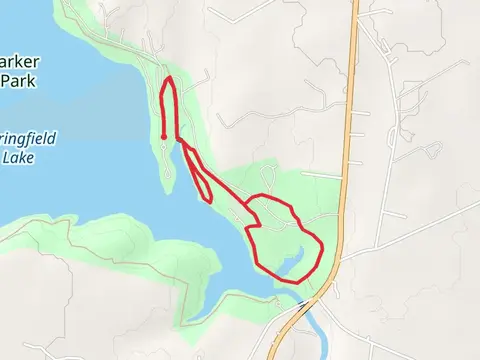 Navasota River - Bur Oak - Springfield Loop Trail