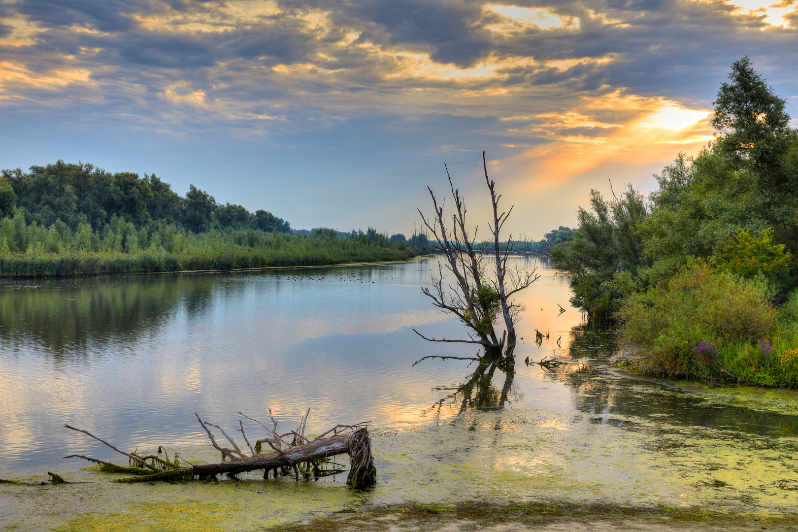 An image depicting the trail Keizersguldenwaard, Polder De Kroon en de Zalm and De Wassende Maan Loop and its surrounding area.