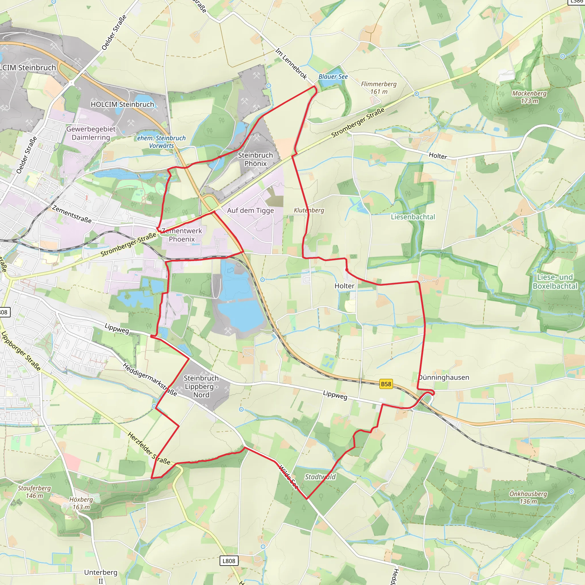 Holter Loop mobile static map