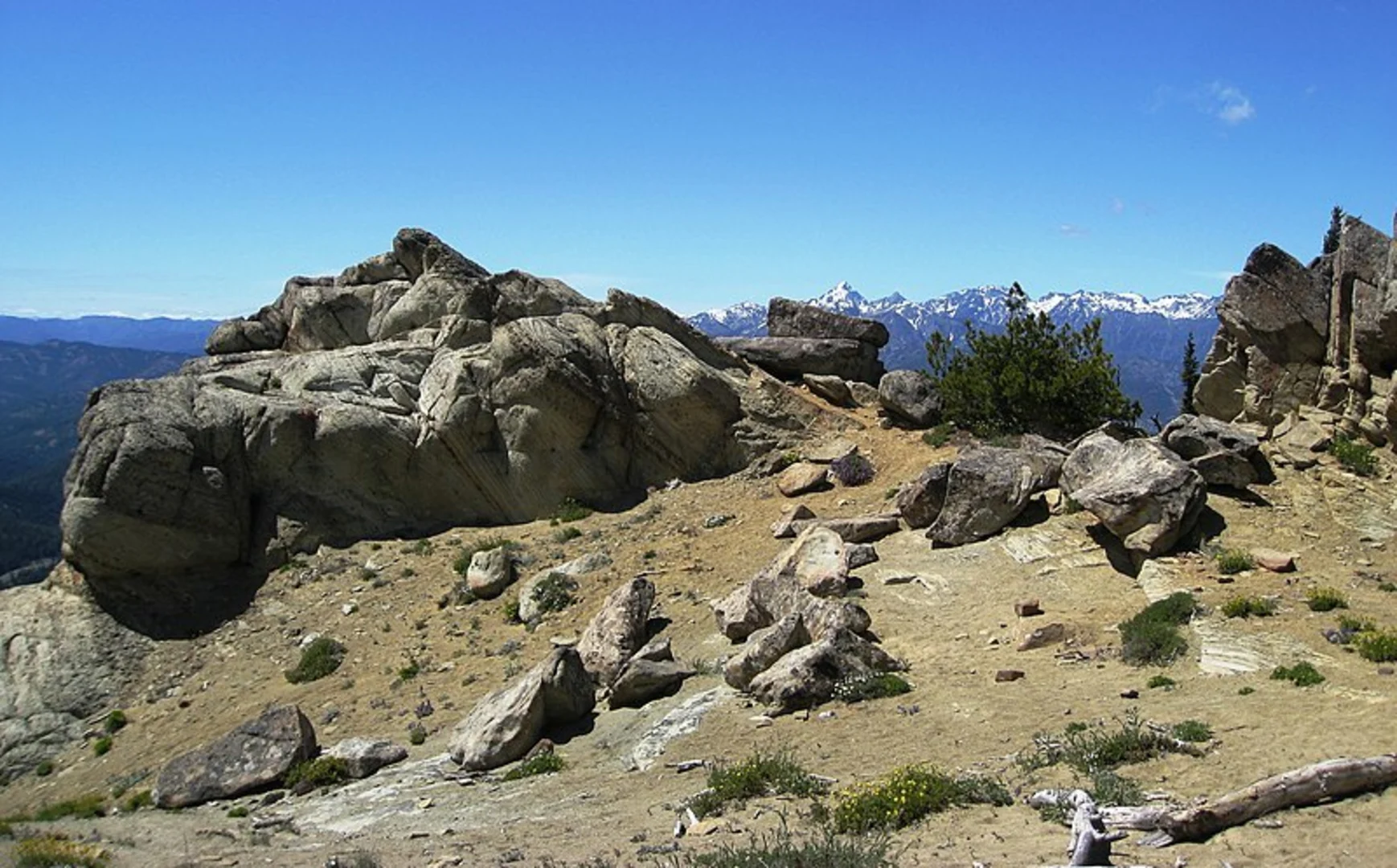 An image depicting the trail Red Hill 1223 Trail and its surrounding area.