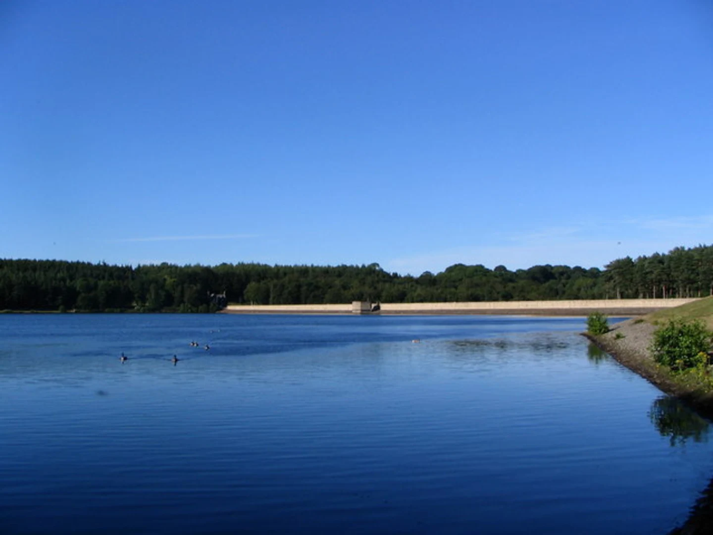 An image depicting the trail Swinsty Reservoir and Fewston Reservoir Loop and its surrounding area.
