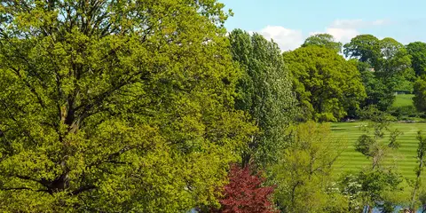 An image depicting the trail Hampsthwaite and Ripley Park and its surrounding area.