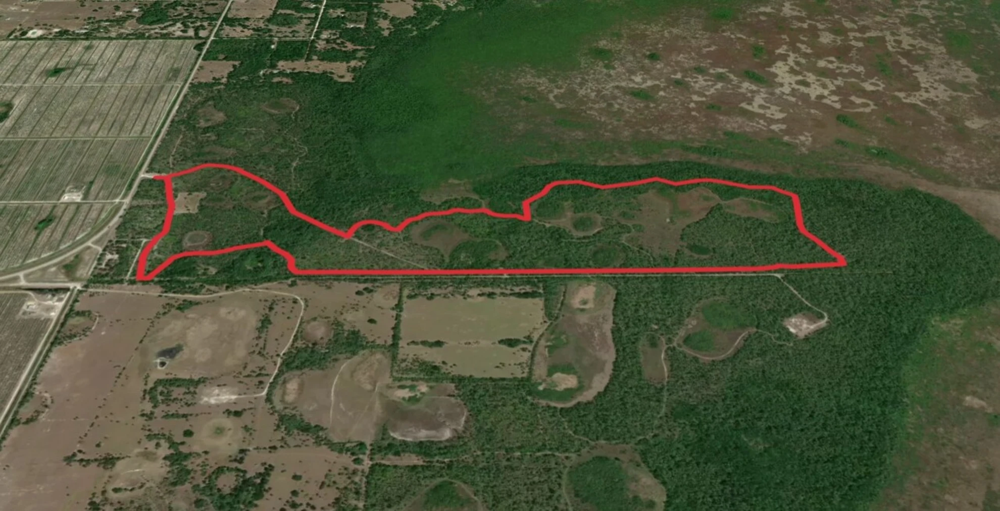 An image depicting the trail Crew Cypress Dome Primitive Campsite Loop and its surrounding area.