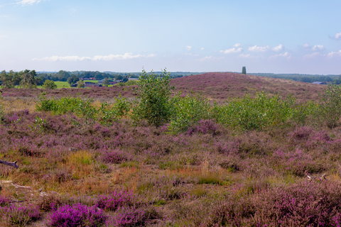 Regge, Steile Oever and Besthmenerberg Loop