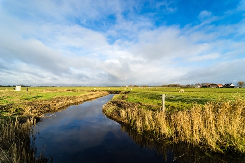 Liniepad, Molenweteringpad, Amsterdamse Bos and Westeinderplassen Loop