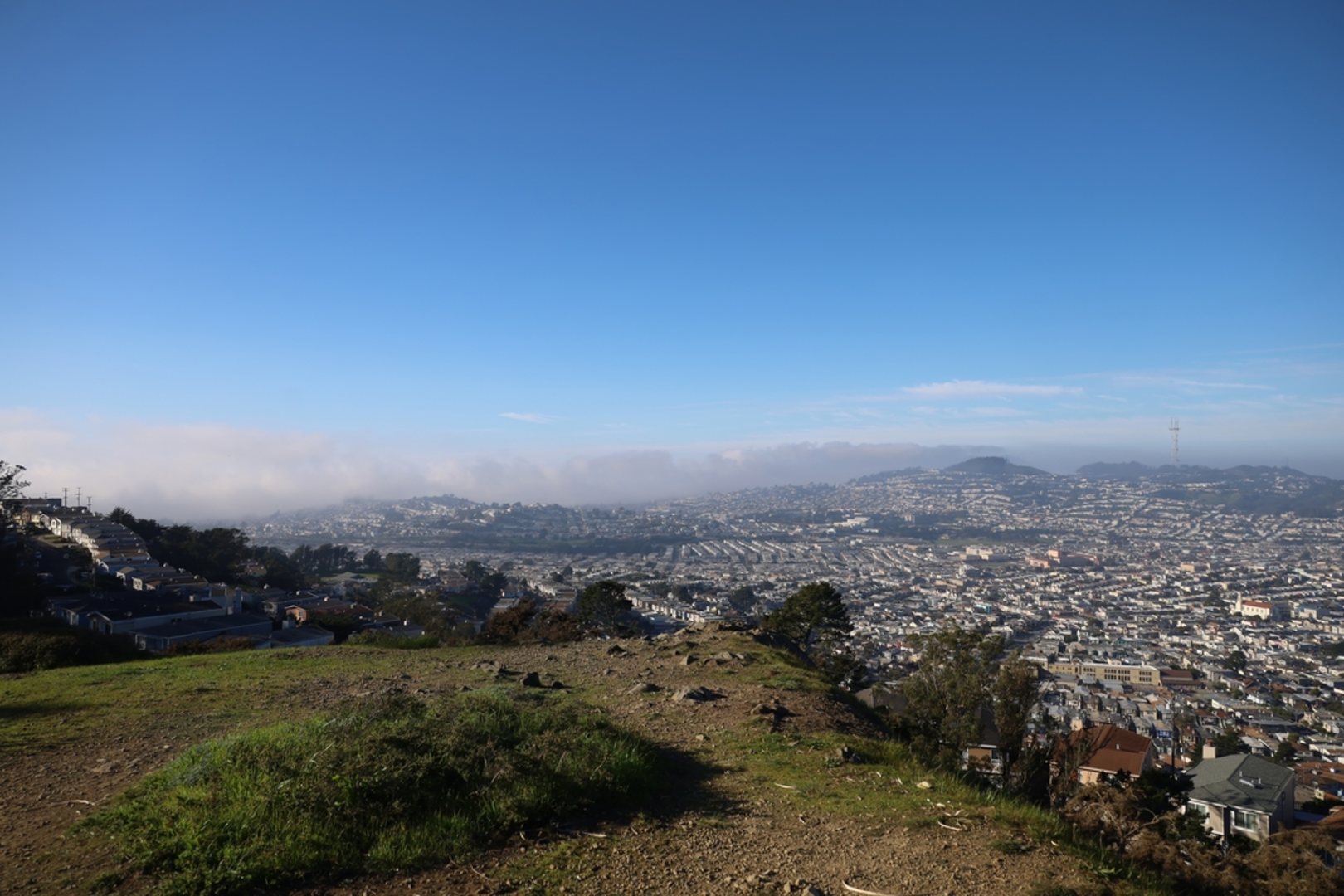 An image depicting the trail San Bruno Mountain, Ridge and Summit Loop Trail and its surrounding area.