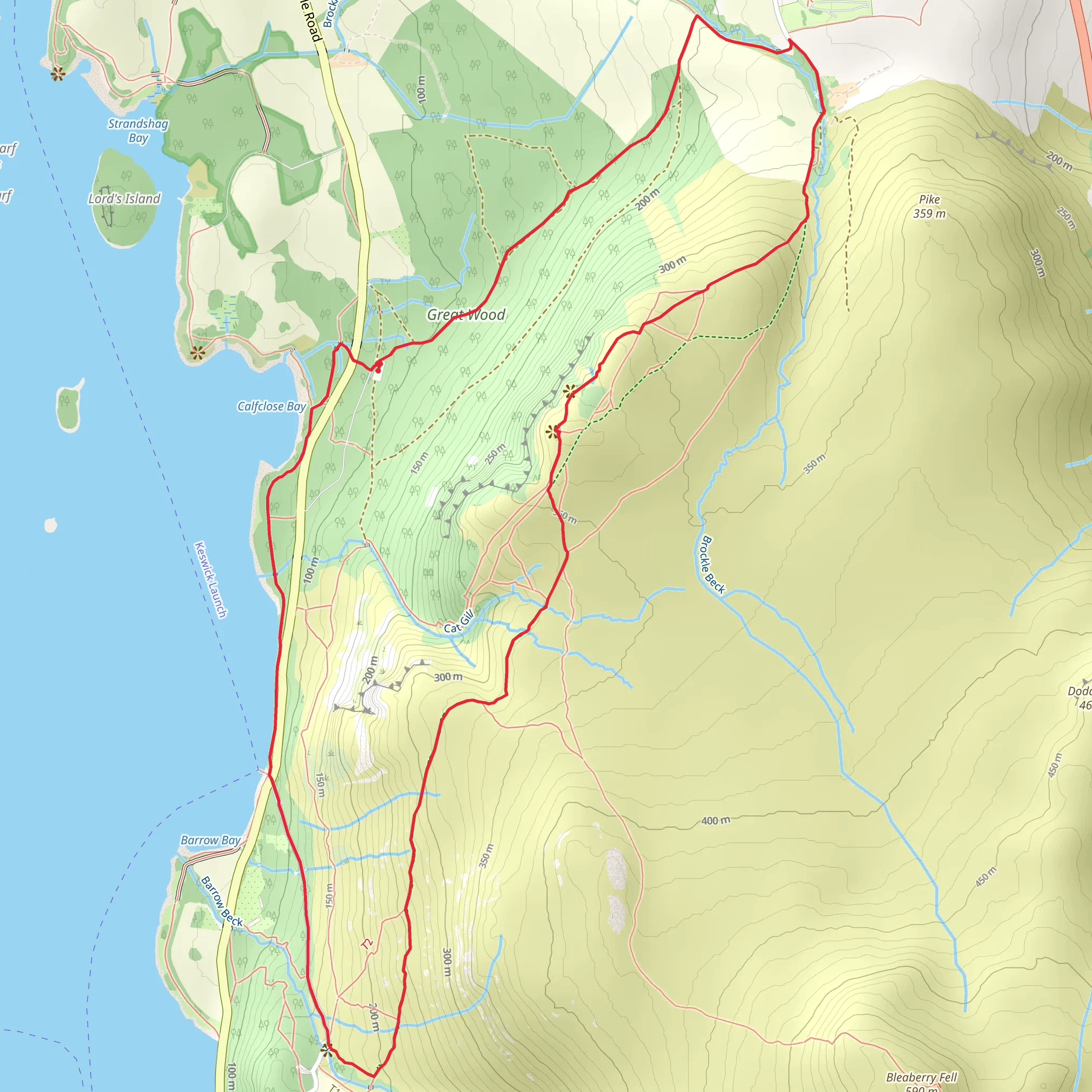 Great Wood, Walla Crag and Derwentwater Loop mobile static map