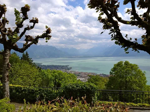 An image depicting the trail Mont Pélerin and its surrounding area.