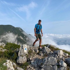 Andy Collins  avatar