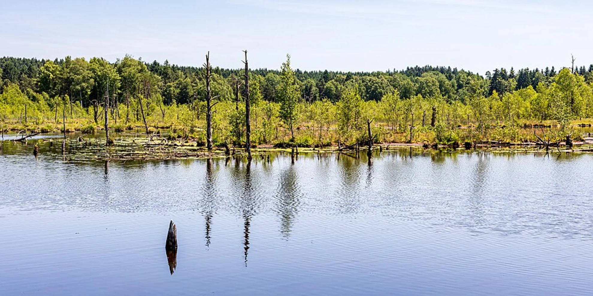 An image depicting the trail Schwenninger Moos Walk and its surrounding area.