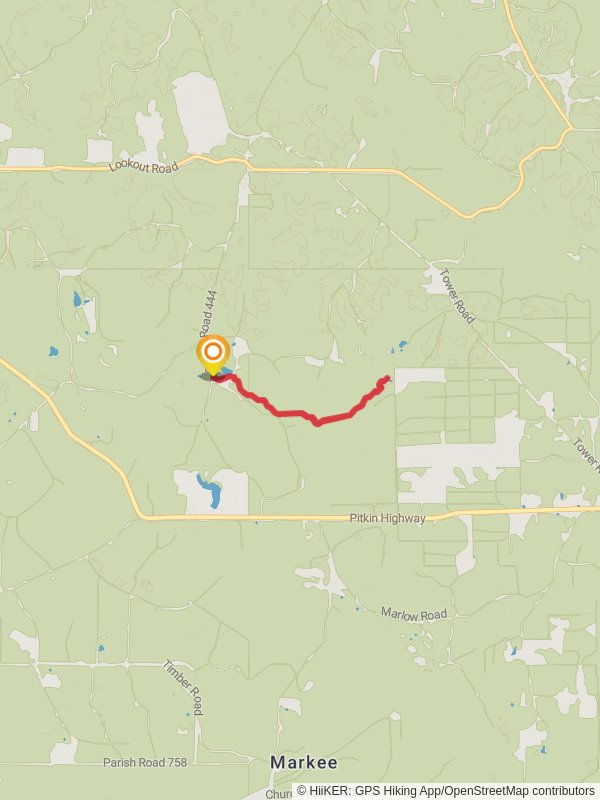 Big Branch Trail Out and Back