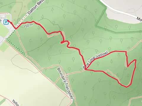 Pine Loop - Yellow and Cody Jean Trail - Green Loop