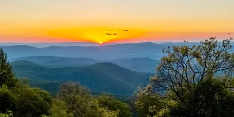An image depicting the trail Wild Oak Loop and its surrounding area.