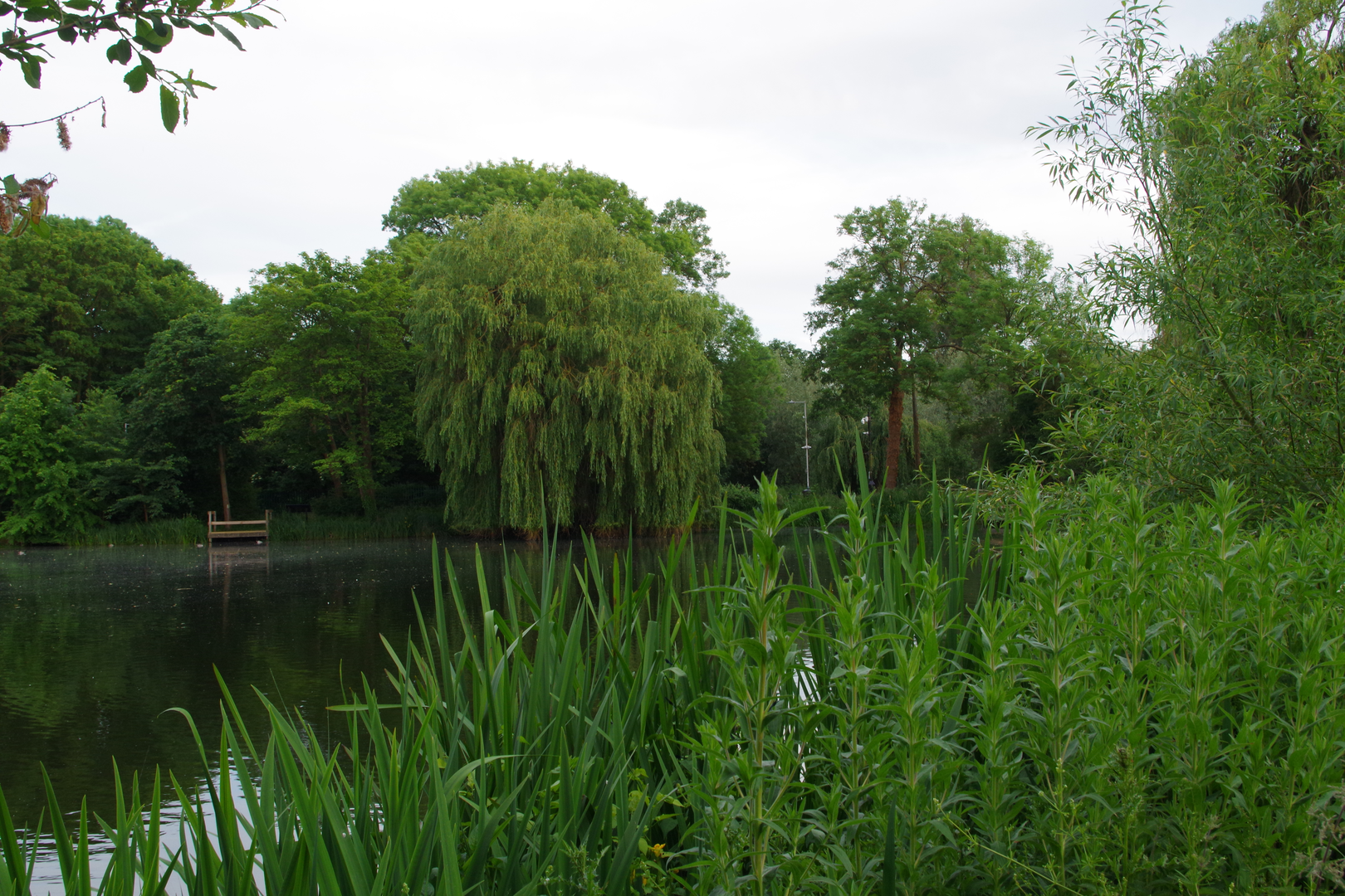 An image depicting the trail London Green Belt Way and its surrounding area.
