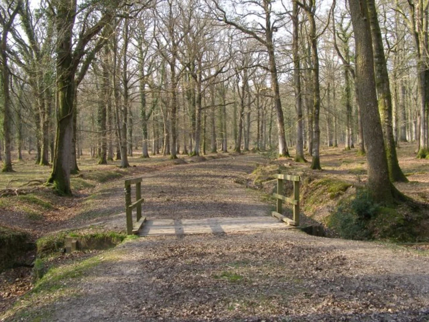 An image depicting the trail Alderhill Inclosure and Amberwood Inclosure Walk and its surrounding area.