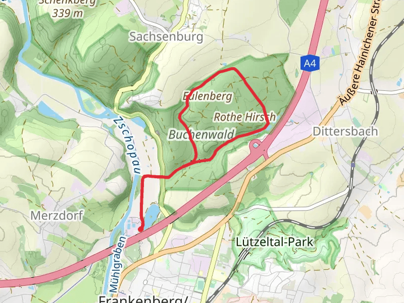 Buchenwald Loop via Schilfteich