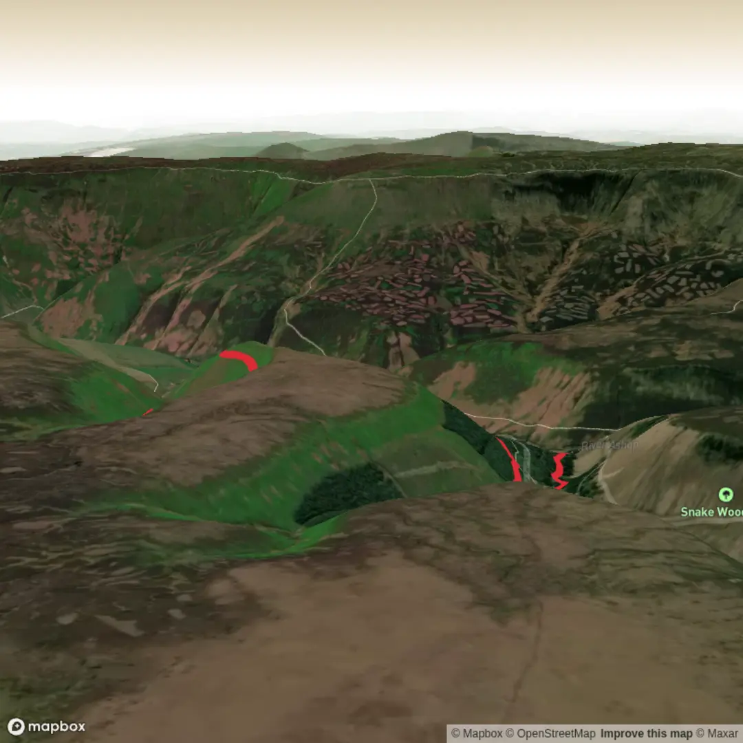 An image depicting the trail Oyster Cabin and its surrounding area.