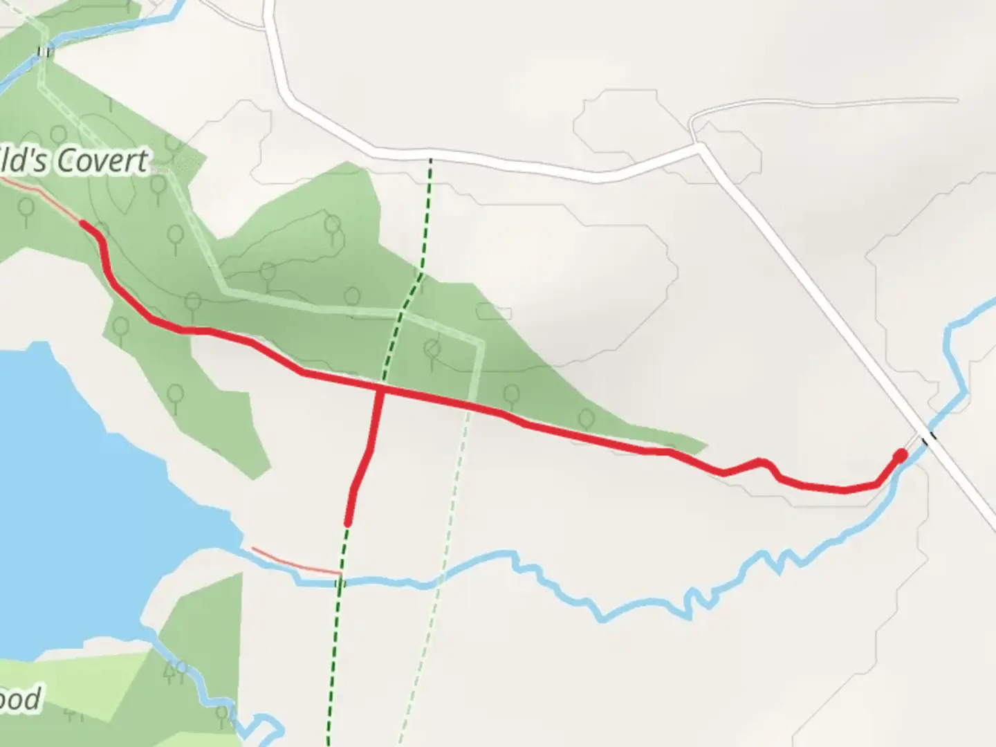 An image depicting the trail Firchild's Covert Walk and its surrounding area.