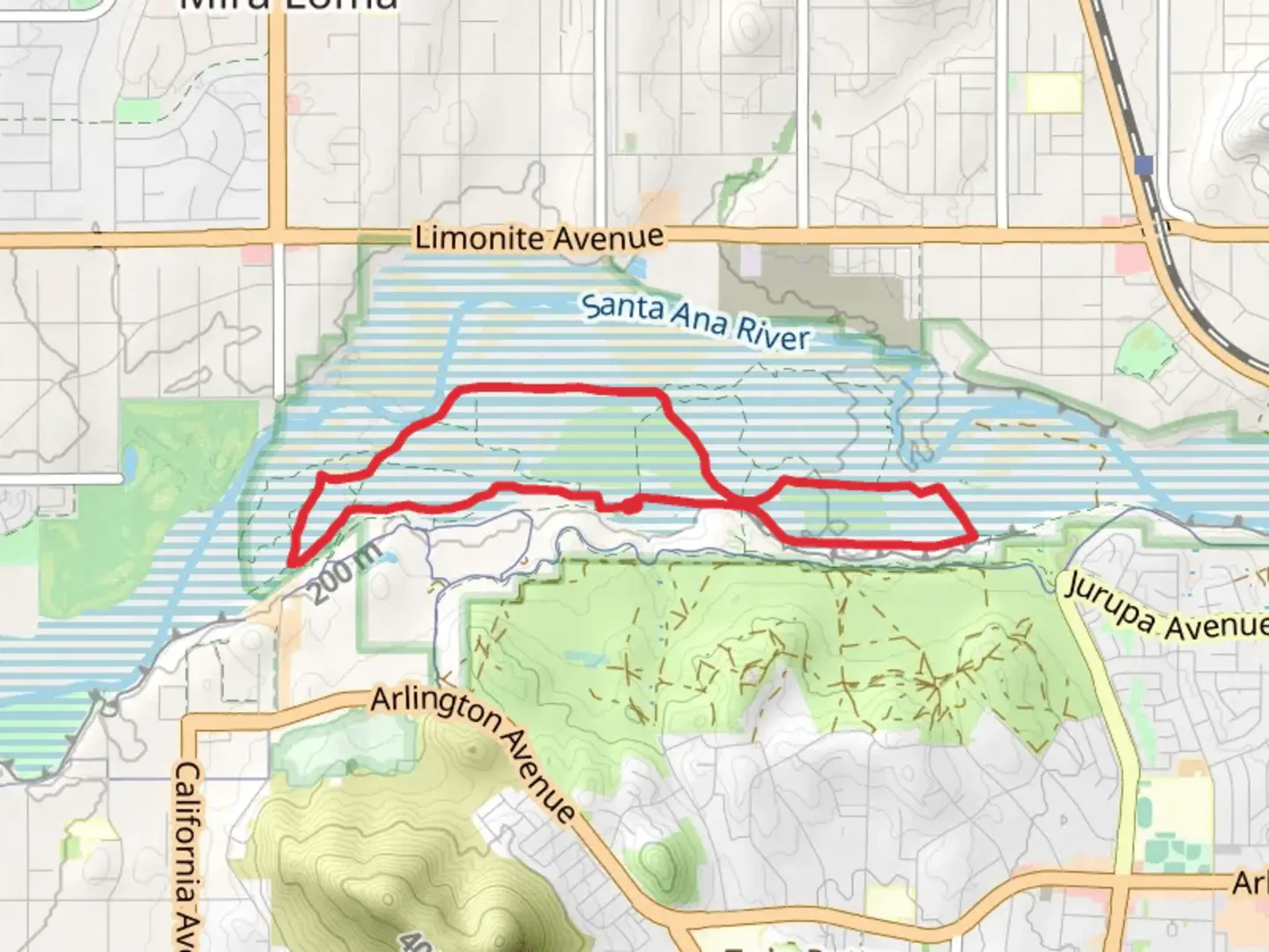 An image depicting the trail Indian Hut Trail, Treeline Trail and Winnie The Pooh Loop and its surrounding area.
