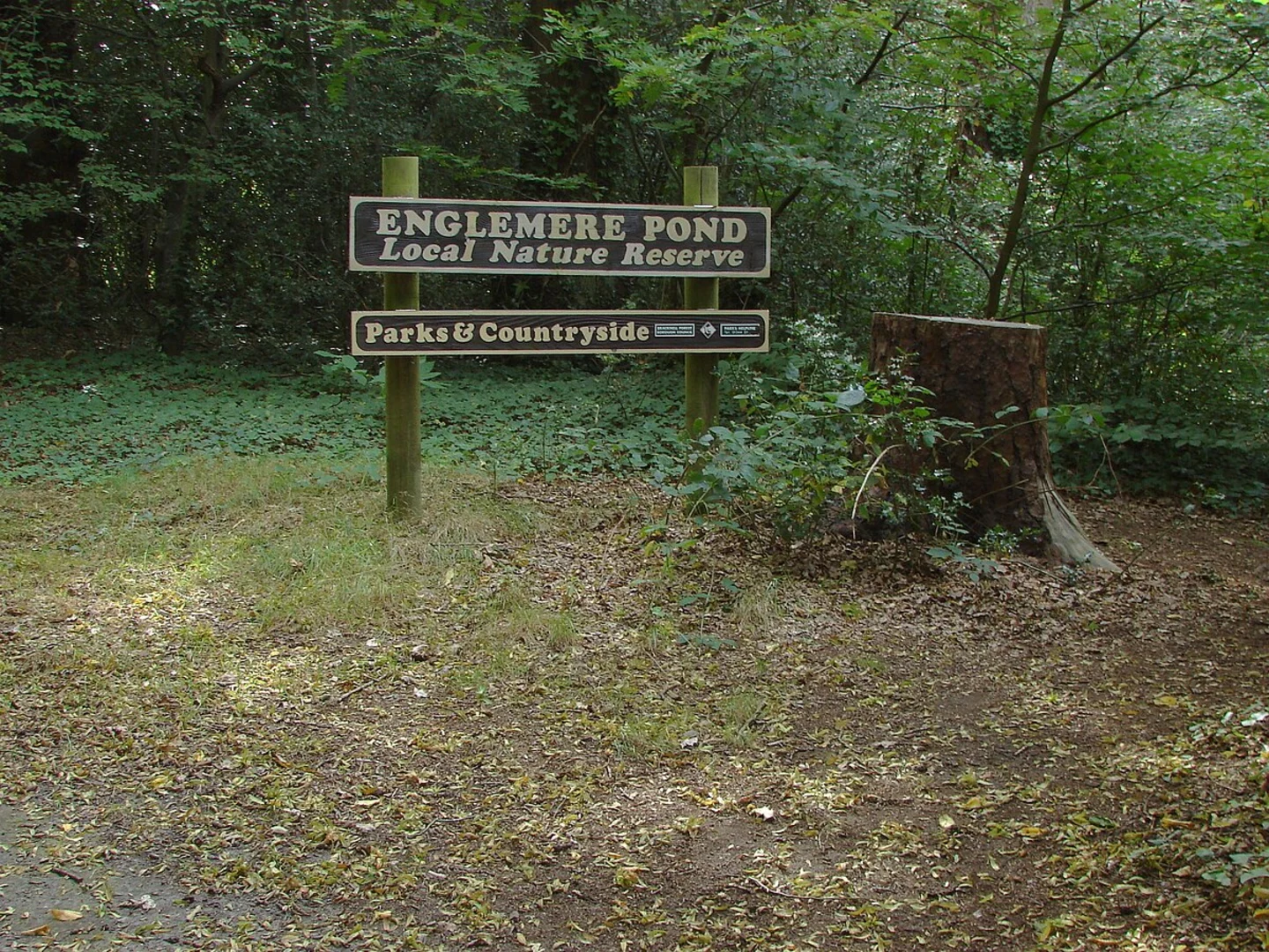 An image depicting the trail Englemere Pond Nature Reserve Loop and its surrounding area.