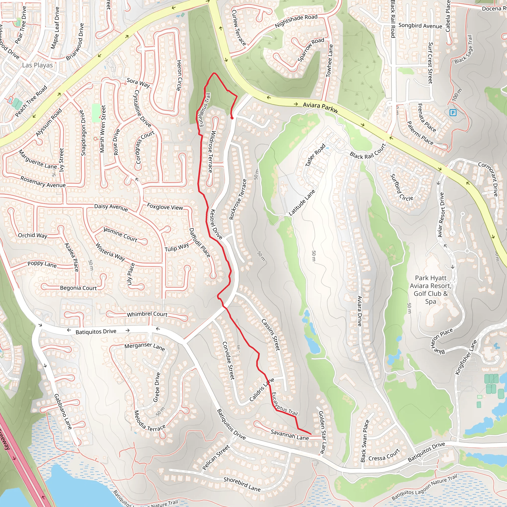 Eucalyptus Trail mobile static map