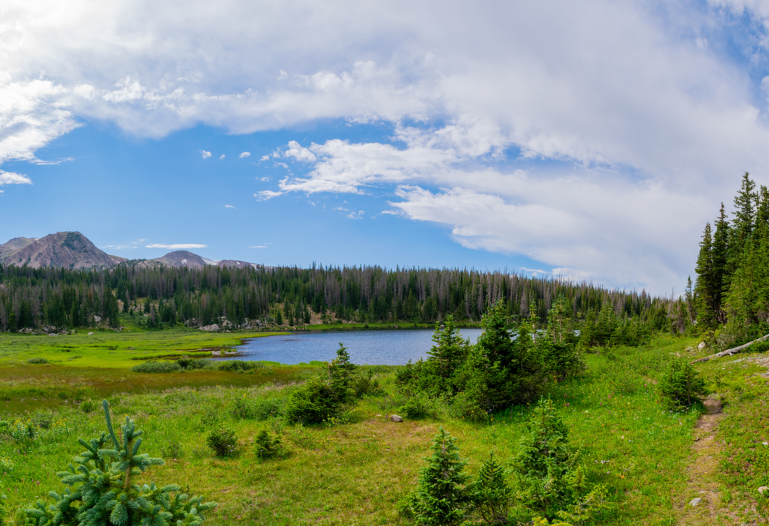 An image depicting the trail Rawah Trail and its surrounding area.