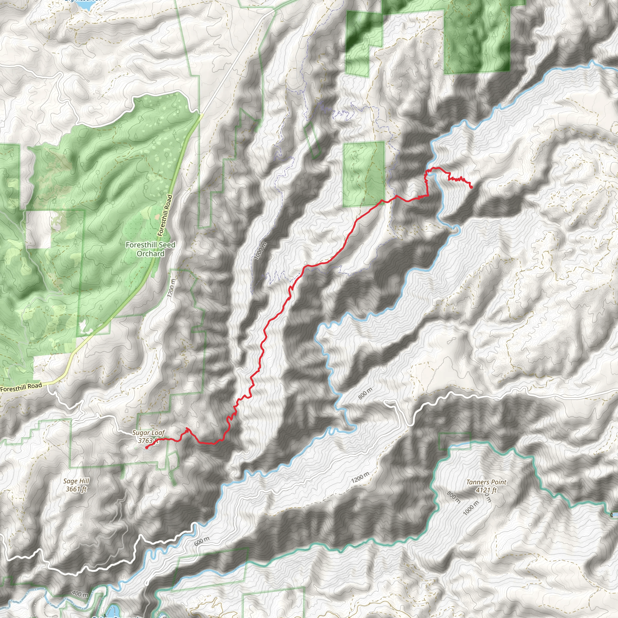 Western States Trail from Historical Masonic Cemetery mobile static map