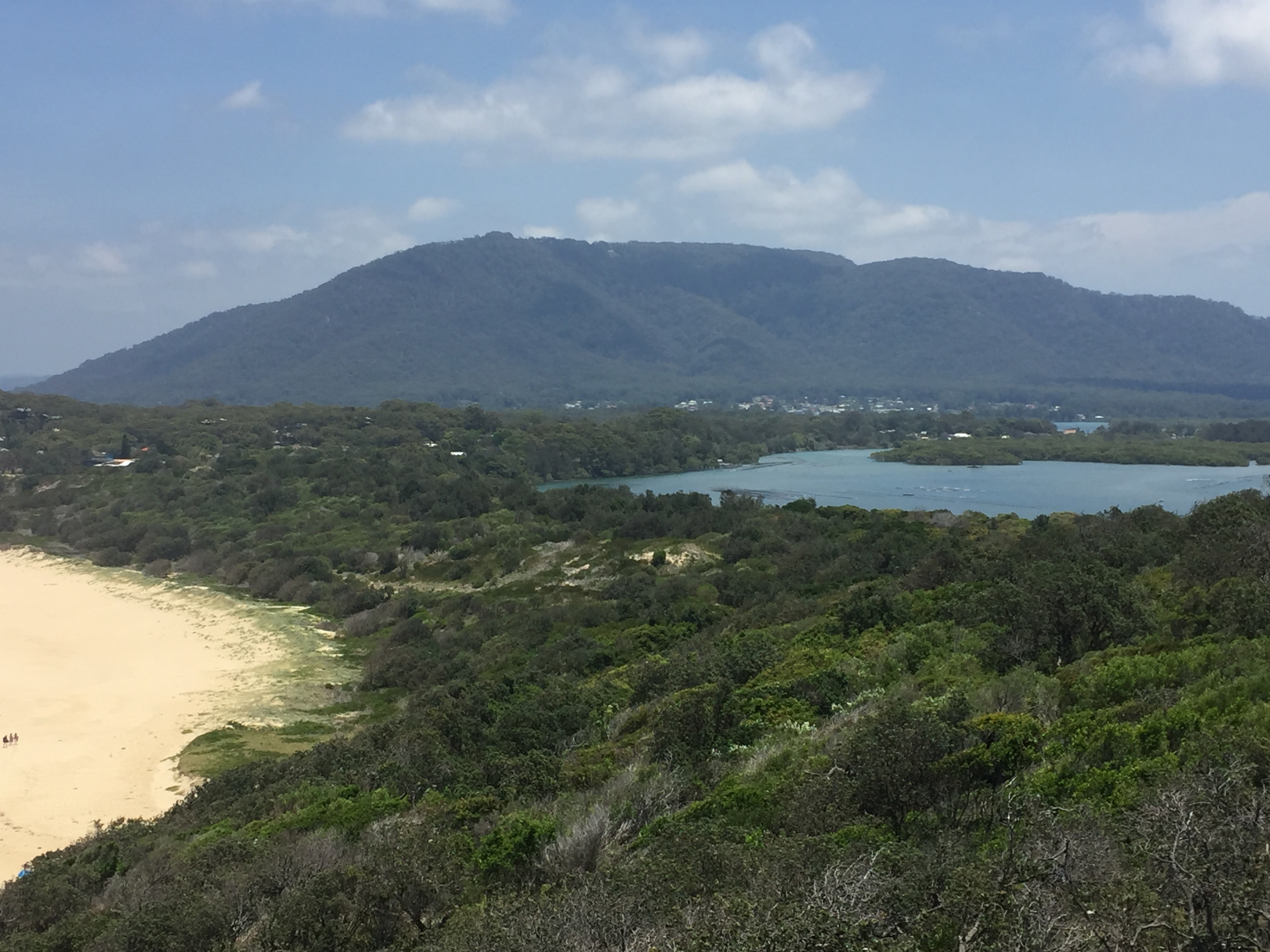 An image depicting the trail Dooragan National Park and its surrounding area.