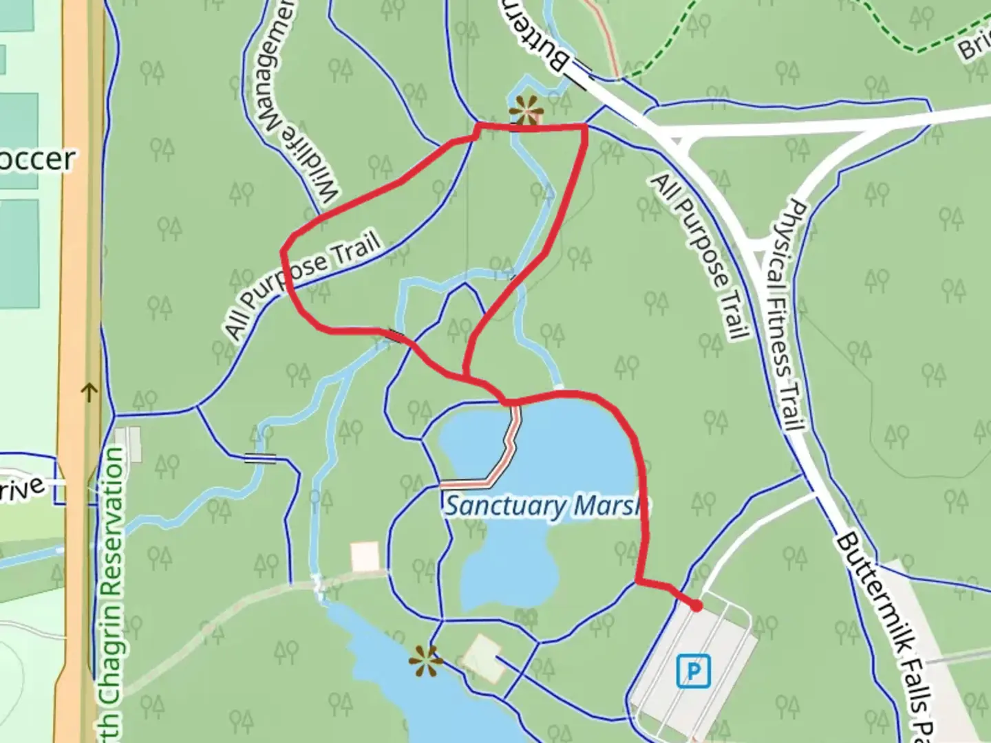 An image depicting the trail Buttermilk Falls Loop Trail and its surrounding area.