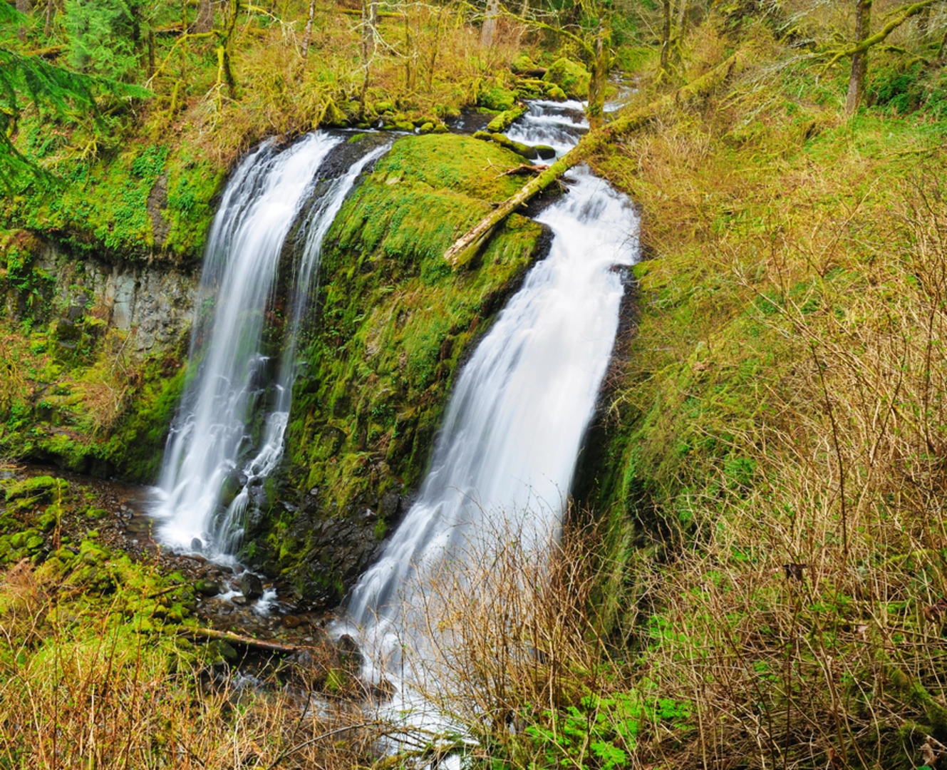 An image depicting the trail Nesmith Point Trail and its surrounding area.