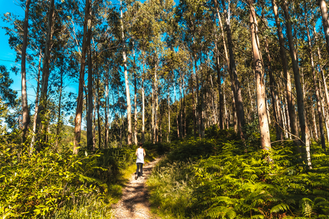 Footprints of Ancestors SL GI 1003