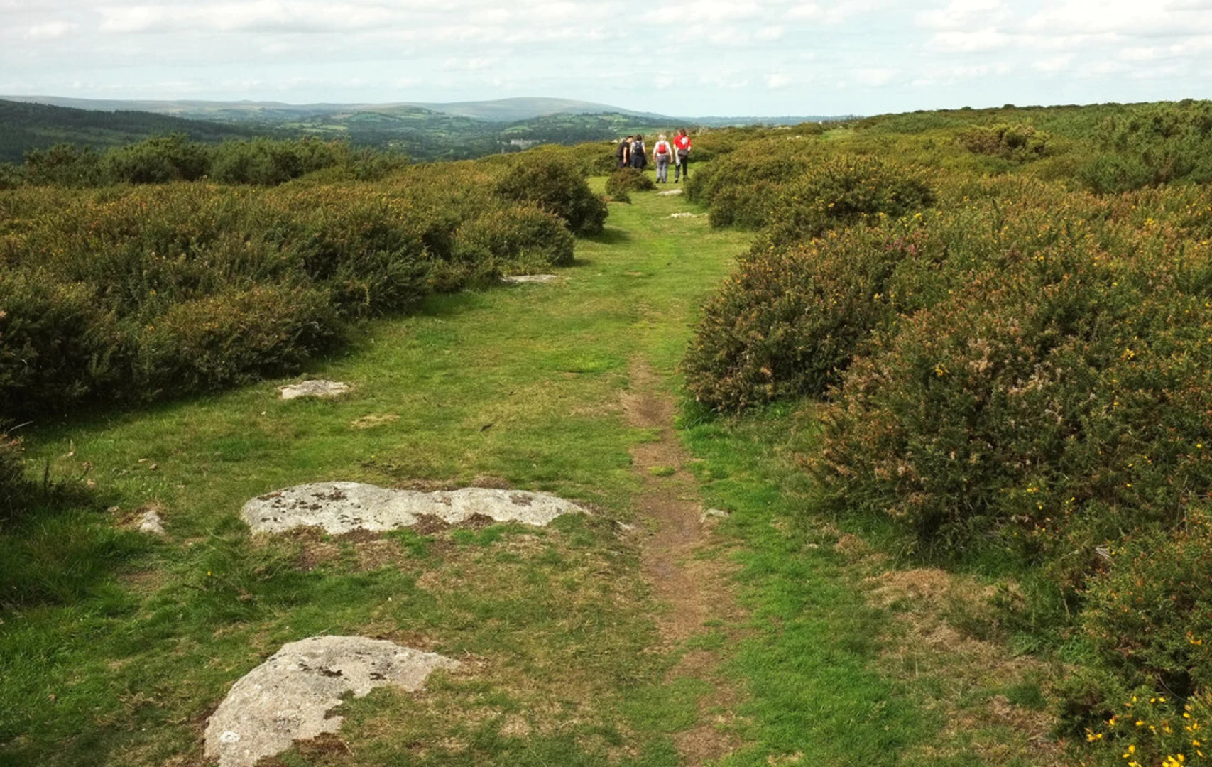 An image depicting the trail Hunter's Tor Walk and its surrounding area.