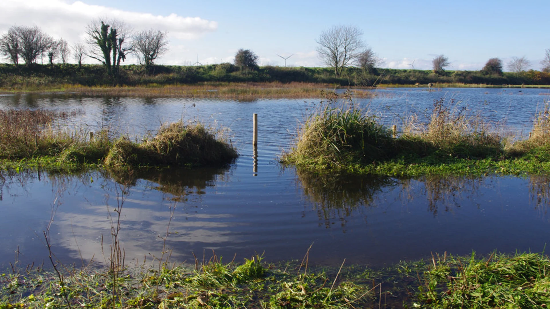 An image depicting the trail Lune Estuary Footpath and its surrounding area.