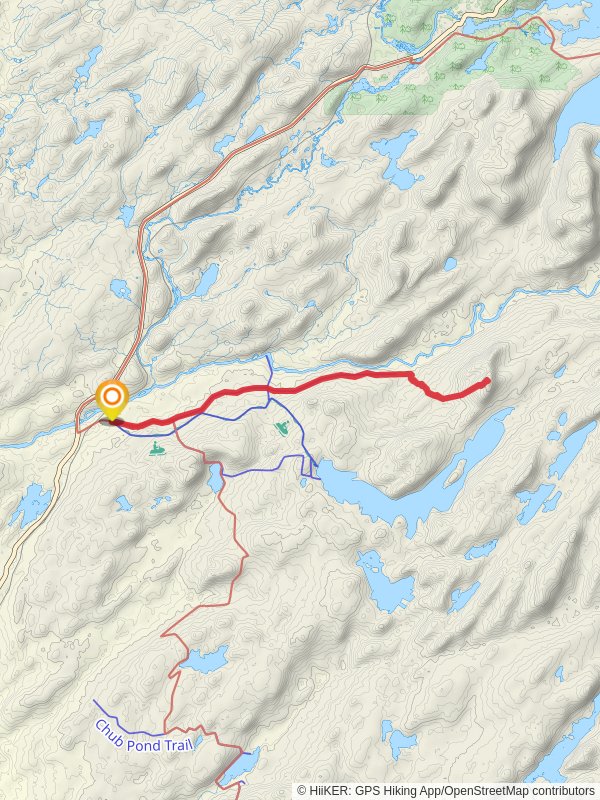 Woodhull Mountain Trail via Black River Wild Forest mobile static map