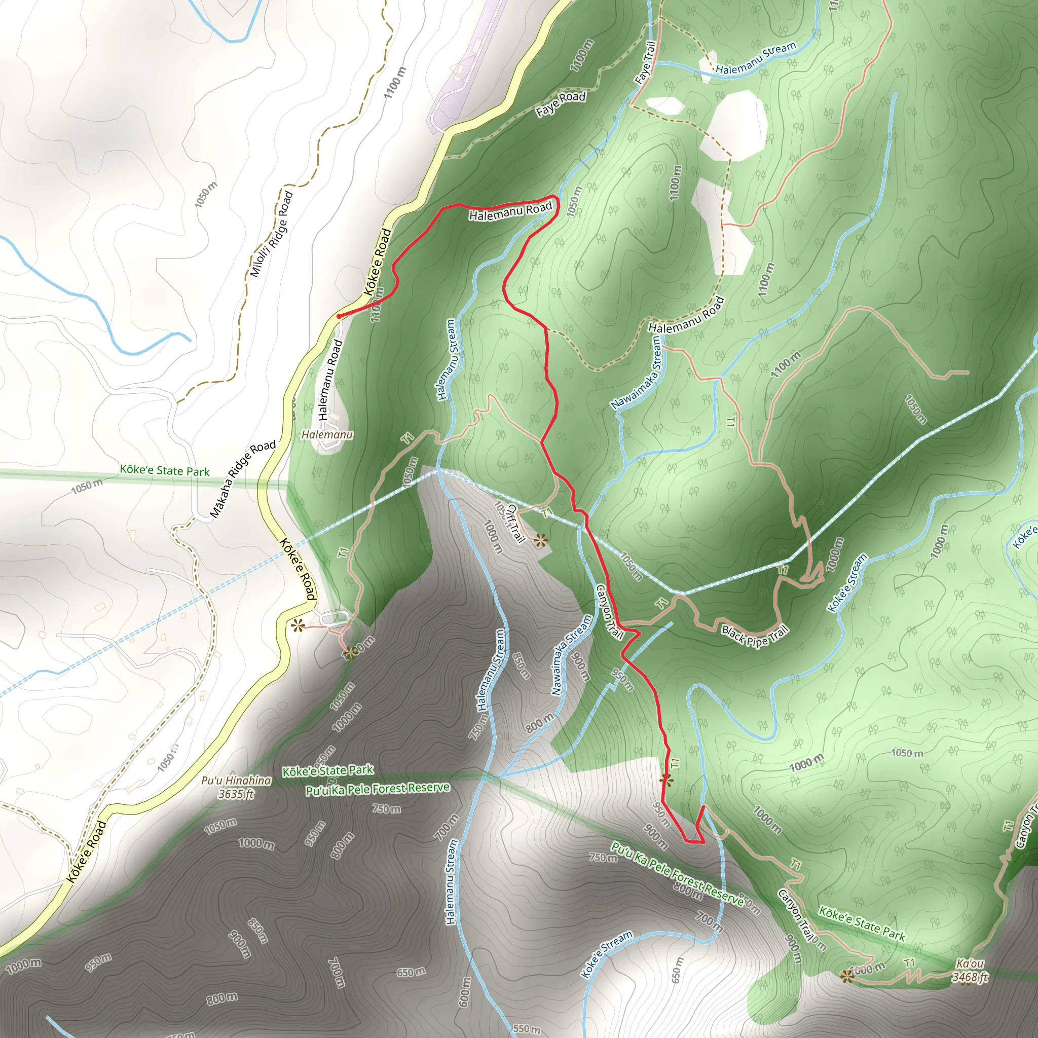 Canyon Trail via Halemanu Road mobile static map